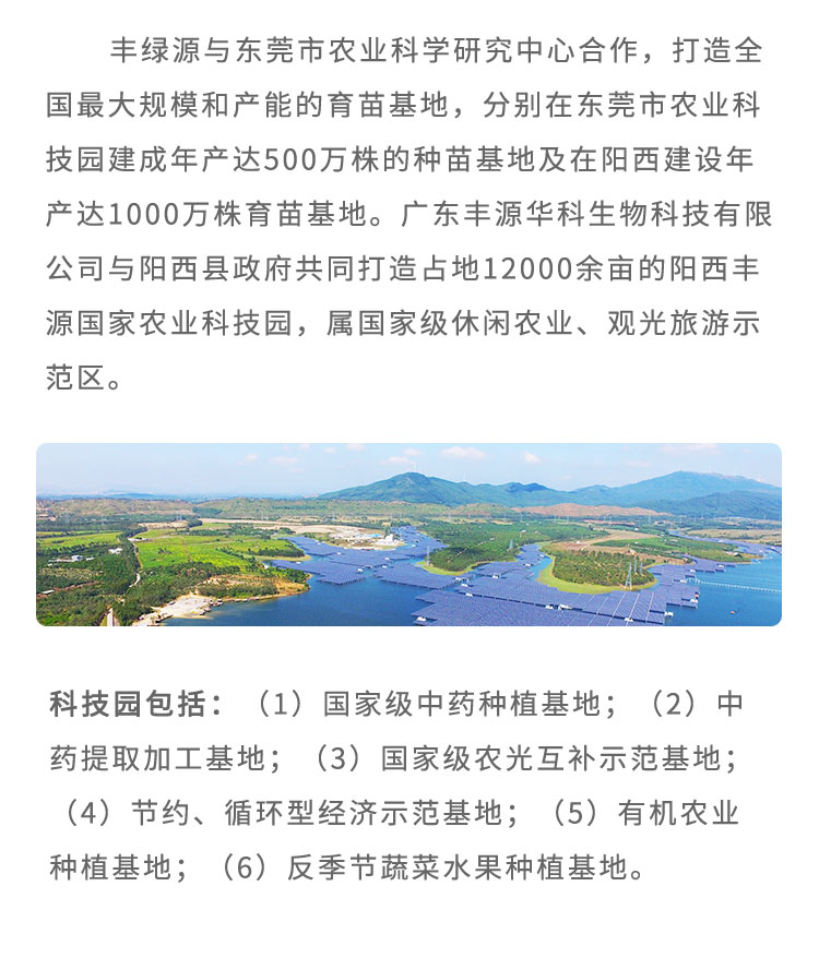 丰绿源与东莞市农业科学研究中心合作,致力于打造大规模和产能的育苗基地,分别在东莞市农业科技园建成年产达500万株的种苗基地及在阳西建设年产达1000万株育苗基地。广东丰源华科生物科技有限公司与阳西县政府共同打造占地12000余亩的阳西丰源国家农业科技园,属休闲农业、观光旅游示范区。科技园包括:(1)中药种植基地;(2)中药提取加工基地;(3)农光互补示范基地;(4)节约、循环型经济示范基地;(5)有机农业种植基地;(6)反季节蔬菜水果种植基地。