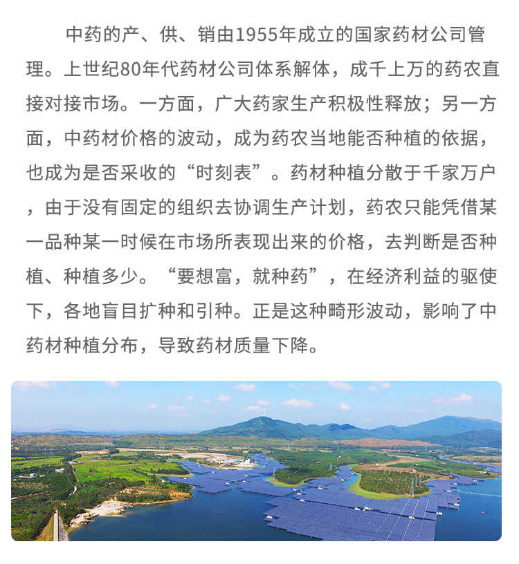 中药的产、供、销由1955年成立的国家药材公司管理。上世纪80年代药材公司体系解体，成千上万的药农直接对接市场。-方面，广大药家生产积极性释放;另一方面，中药材价格的波动，成为药农当地能否种植的依据,也成为是否采收的“时刻表”。药材种植分散于千家万户，由于没有固定的组织去协调生产计划，药农只能凭借某-品种某一时候在市场所表现出来的价格，去判断是否种植、种植多少。“要想富，就种药”，在经济利益的驱使下，各地盲目扩种和引种。正是这种畸形波动，影响了中药材种植分布，导致药材质量下降。