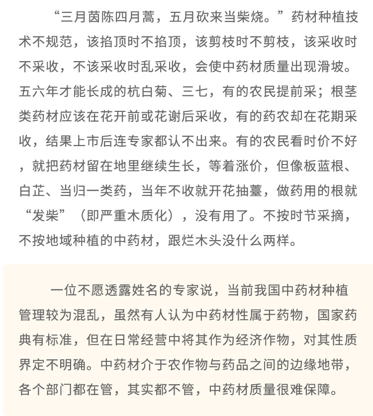 “三月茵陈四月蒿，五月砍来当柴烧。”药材种植技术不规范，该掐顶时不掐顶，该剪枝时不剪枝，该采收时不采收，不该采收时乱采收，会使中药材质量出现滑坡。五六年才能长成的杭白菊、三七，有的农民提前采;根茎类药材应该在花开前或花谢后采收，有的药农却在花期采收，结果上市后连专家都认不出来。有的农民看时价不好，就把药材留在地里继续生长，等着涨价，但像板蓝根、白芷、当归一类药，当年不收就开花抽墓，做药用的根就“发柴”(即严重木质化) ，没有用了。不按时节采摘，不按地域种植的中药材，跟烂木头没什么两样。一位不愿透露姓名的专家说，当前我国中药材种植管理较为混乱，虽然有人认为中药材性属于药物，国家药典有标准，但在日常经营中将其作为经济作物，对其性质界定不明确。中药材介于农作物与药品之间的边缘地带，各个部门都在管，其实都不管，中药材质量很难保障。