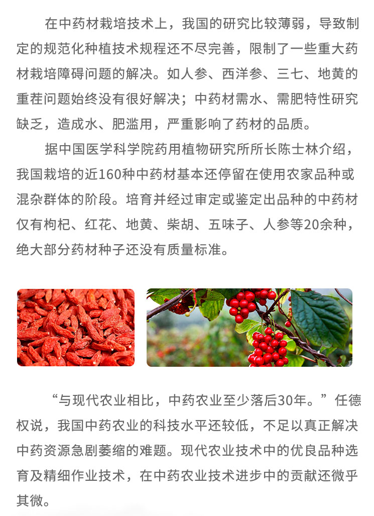 在中药材栽培技术上，我国的研究比较薄弱，导致制定的规范化种植技术规程还不尽完善，限制了- -些重大药材栽培障碍问题的解决。如人参、西洋参、三七、地黄的重茬问题始终没有很好解决;中药材需水、需肥特性研究缺乏，造成水、肥滥用，严重影响了药材的品质。据中国医学科学院药用植物研究所所长陈土林介绍，我国栽培的近160种中药材基本还停留在使用农家品种或湿杂群体的阶段。培育并经过审定或鉴定出品种的中药材仅有枸杞、红花、地黄、柴胡、五味子、人参等20余种，绝大部分药材种子还没有质量标准。“与现代农业相比，中药农业至少落后30年。”任德权说，我国中药农业的科技水平还较低，不足以真正解决中药资源急剧菱缩的难题。现代农业技术中的优良品种选育及精细作业技术，在中药农业技术进步中的贡献还微乎其微。