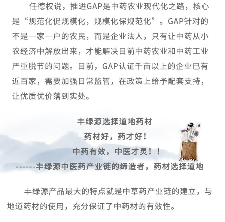 任德权说，推进GAP是中药农业现代化之路，核心是“规范化促规模化，规模化保规范化”。GAP针对的不是一家一户的农民，而是企业法人，只有让中药从小农经济中解放出来，才能解决目前中药农业和中药工业严重脱节的问题。目前，GAP认证千亩以上的企业已有近百家，需要加强日常监管，在政策上给予配套支持,让优质优价落到实处。丰绿源选择道地药材药材好，药才好! 中药有效，中医才灵! !丰绿源中医药产业链的缔造者，药材选择道地丰绿源产品最大的特点就是中草药产业链的建立，与地道药材的使用，充分保证了中药材的有效性。