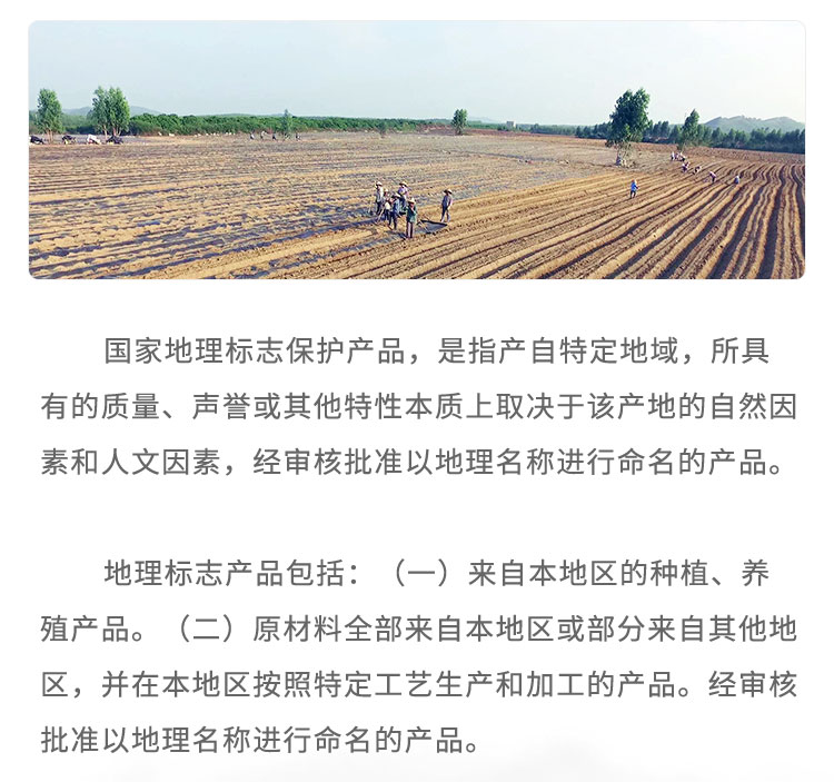 国家地理标志保护产品，是指产自特定地域，所具有的质量、声誉或其他特性本质上取决于该产地的自然因素和人文因素，经审核批准以地理名称进行命名的产品。地理标志产品包括: (一) 来自本地区的种植、养殖产品。，(二)原材料全部来自本地区或部分来自其他地区，并在本地区按照特定工艺生产和加工的产品。经审核批准以地理名称进行命名的产品。