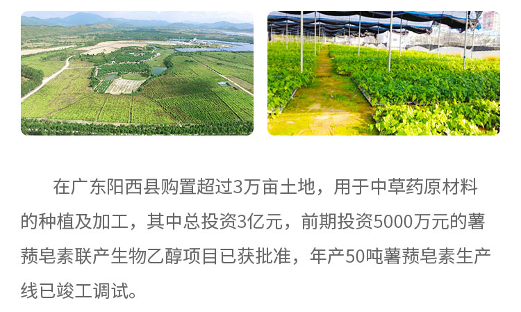 在广东阳西县购置超过3万亩土地,用于中草药原材料的种植及加工，其中总投资3亿元，前期投资5000万元的薯蓣皂素联产生物乙醇项目已获批准，年产50吨薯蓣皂素生产线已竣工调试。