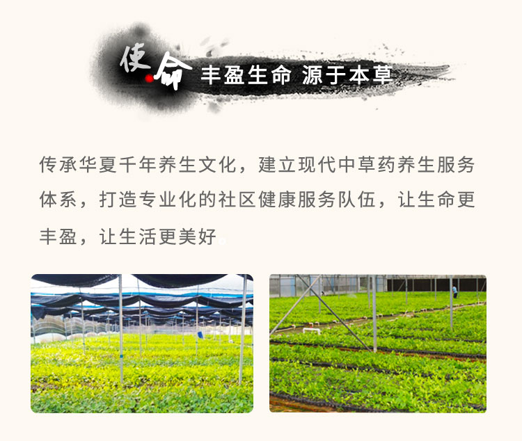 传承华夏千年养生文化，建立现代中草药养生服务体系，打造专业化的社区健康服务队伍，让生命更丰盈，让生活更美好