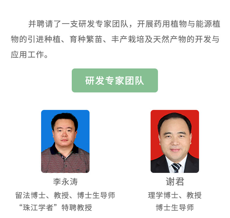 丰绿源